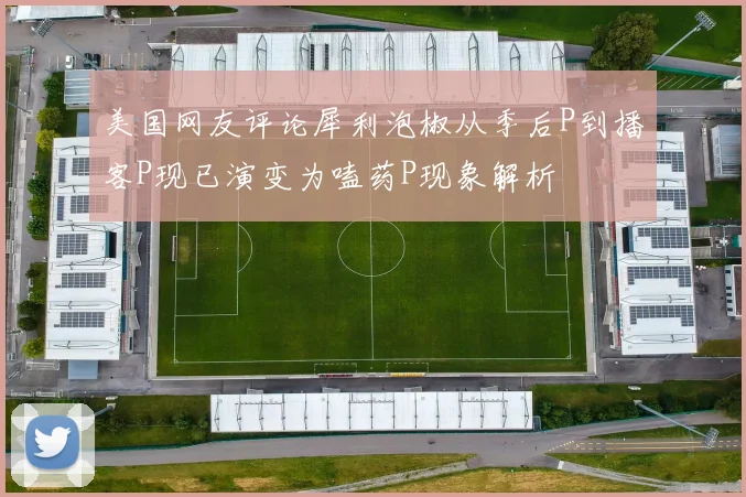 美国网友评论犀利泡椒从季后P到播客P现已演变为嗑药P现象解析